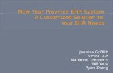 New Year Province EHR System A Customized Solution to  Your EHR Needs
