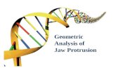 Geometric Analysis of  Jaw Protrusion