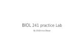 BIOL 241 practice Lab