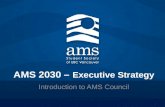 AMS 2030 –  Executive Strategy