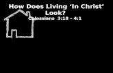 How Does Living ‘In Christ’ Look?  Colossians  3:18 – 4:1