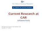 Current Research at CAR Julianne Fretz