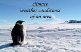 climate  weather conditions  of an area