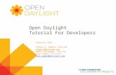Open Daylight Tutorial For Developers