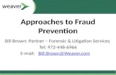 Approaches to Fraud Prevention