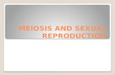 MEIOSIS  AND  SEXUAL  REPRODUCTION