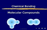 Molecular  Compounds