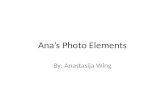 Ana’s Photo Elements