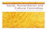 Social, Humanitarian and Cultural Committee