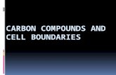 Carbon compounds and Cell boundaries