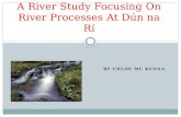 A River Study Focusing  O n River Processes At  Dún na Rí