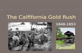 The  Calfifornia  Gold Rush