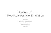 Review of  Two-Scale Particle Simulation