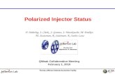 Polarized Injector Status