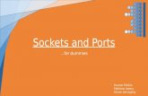Sockets and Ports
