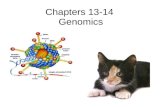 Chapters 13-14  Genomics