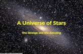 A Universe of Stars