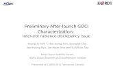 Preliminary After-launch GOCI Characterization:  Inter-slot radiance discrepancy issue