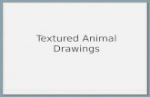Textured Animal Drawings