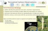 Terrestrial Carbon Observations