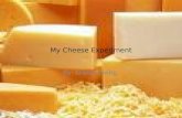 My Cheese Experiment