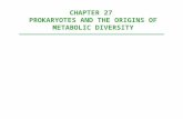 CHAPTER 27  PROKARYOTES AND THE ORIGINS OF METABOLIC DIVERSITY