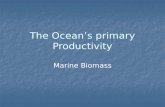 The Ocean’s primary Productivity