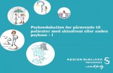 Pårørendeundervisning – I Psykoedukation til patienter med skizofreni