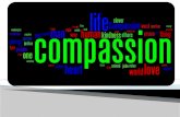 What is compassion?     Compassion is the desire to ease others' suffering.