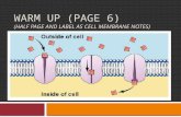 Warm Up (Page 6) (half page and LABEL AS Cell Membrane Notes)