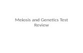 Meiosis and Genetics Test Review