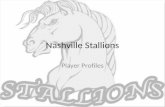 Nashville Stallions