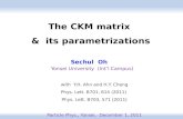 The CKM matrix  &   its  parametrizations