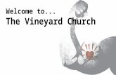 Welcome to... The Vineyard Church