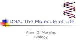 DNA: The Molecule of Life