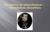 Patterns  of Inheritance –  Mendelian Genetics