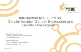 Introduction to EU Law on  Gender Identity, Gender Expression and Gender Reassignment