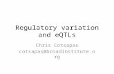 Regulatory variation and  eQTLs