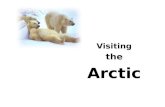 Visiting  the  Arctic
