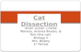 Brian Tucker,  Chelse  Maness, Andrea Brooks, & Tom (the cat)  Biology II Mrs. Beatty 1 st  Period