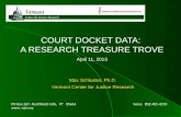 COURT DOCKET DATA:  A RESEARCH TREASURE TROVE April 11, 2013