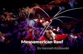 Mesoamerican Reef