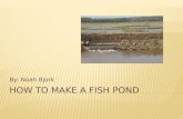 How to Make a fish pond
