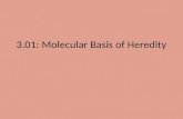 3.01: Molecular  Basis of Heredity