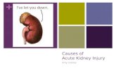 Causes of  Acute Kidney Injury
