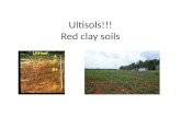 Ultisols !!! Red clay soils