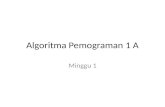 Algoritma Pemograman  1 A