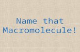Name that  Macromolecule!