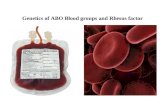 Genetics of ABO Blood groups and Rhesus factor
