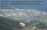 Alternative Silvicultural Techniques for European Sub-alpine and Montane Protection Forests: